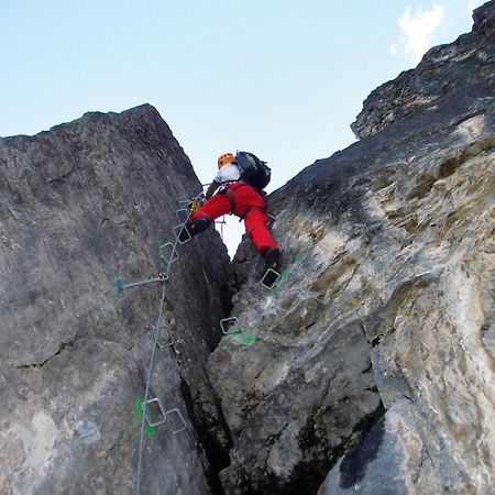 Alpengasthof Enzianhof 젤암질러 외부 사진